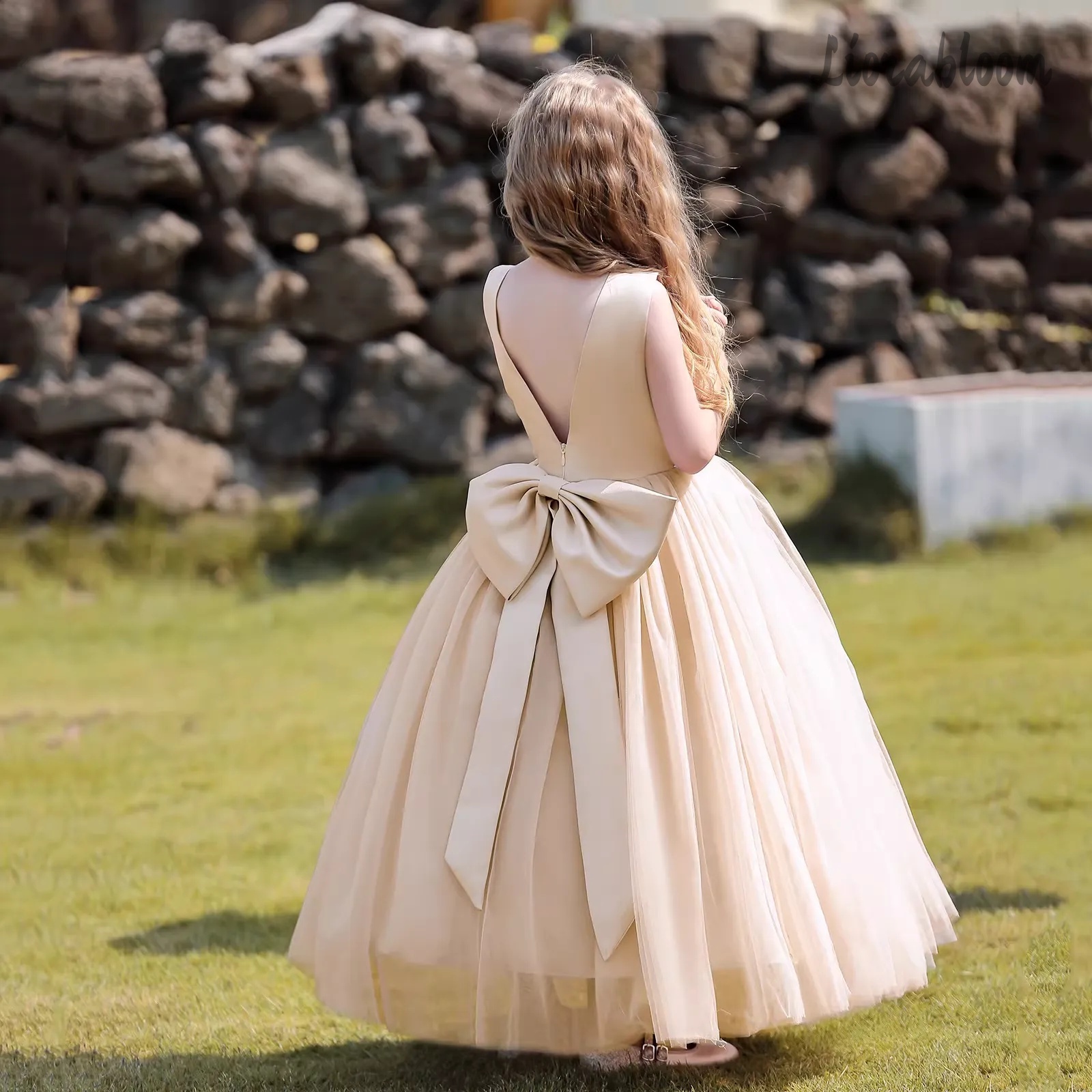 Multicolor Backless Princess D - Women'S Formal Wear For A Wedding avis et prix